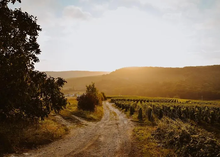 Villa Belle Cuvée Morangis (Marne)